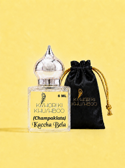 ✨ Champaklata (Kaccha Bela) ✨