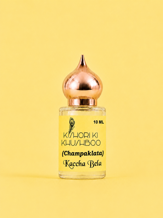 ✨ Champaklata (Kaccha Bela) ✨